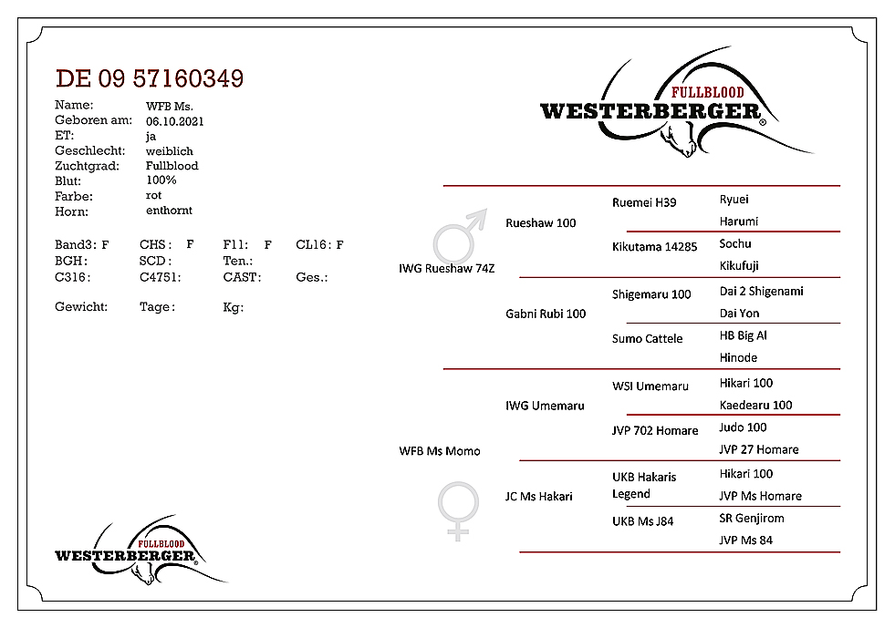 WFB-News-1-22-daten