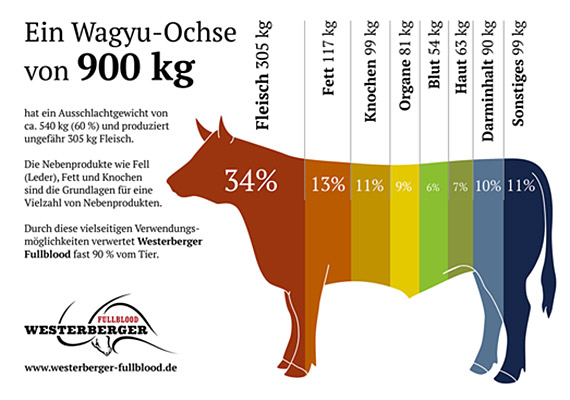 news-900kg-qualitaet